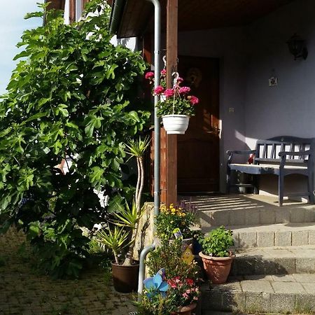 Ferienwohnung Ferien im Elsass Artolsheim Exterior foto